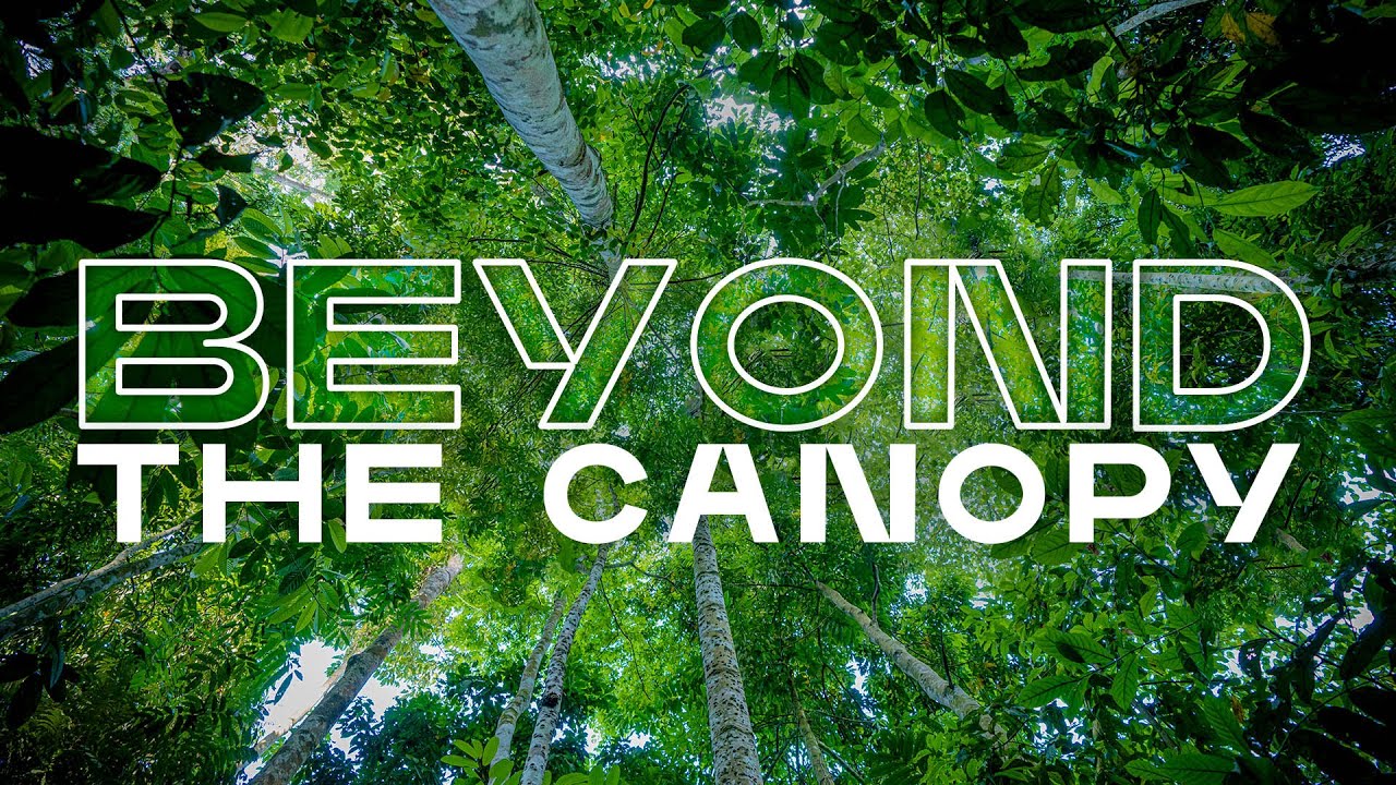 How XPRIZE Rainforest Is Changing the Future of Conservation Globally