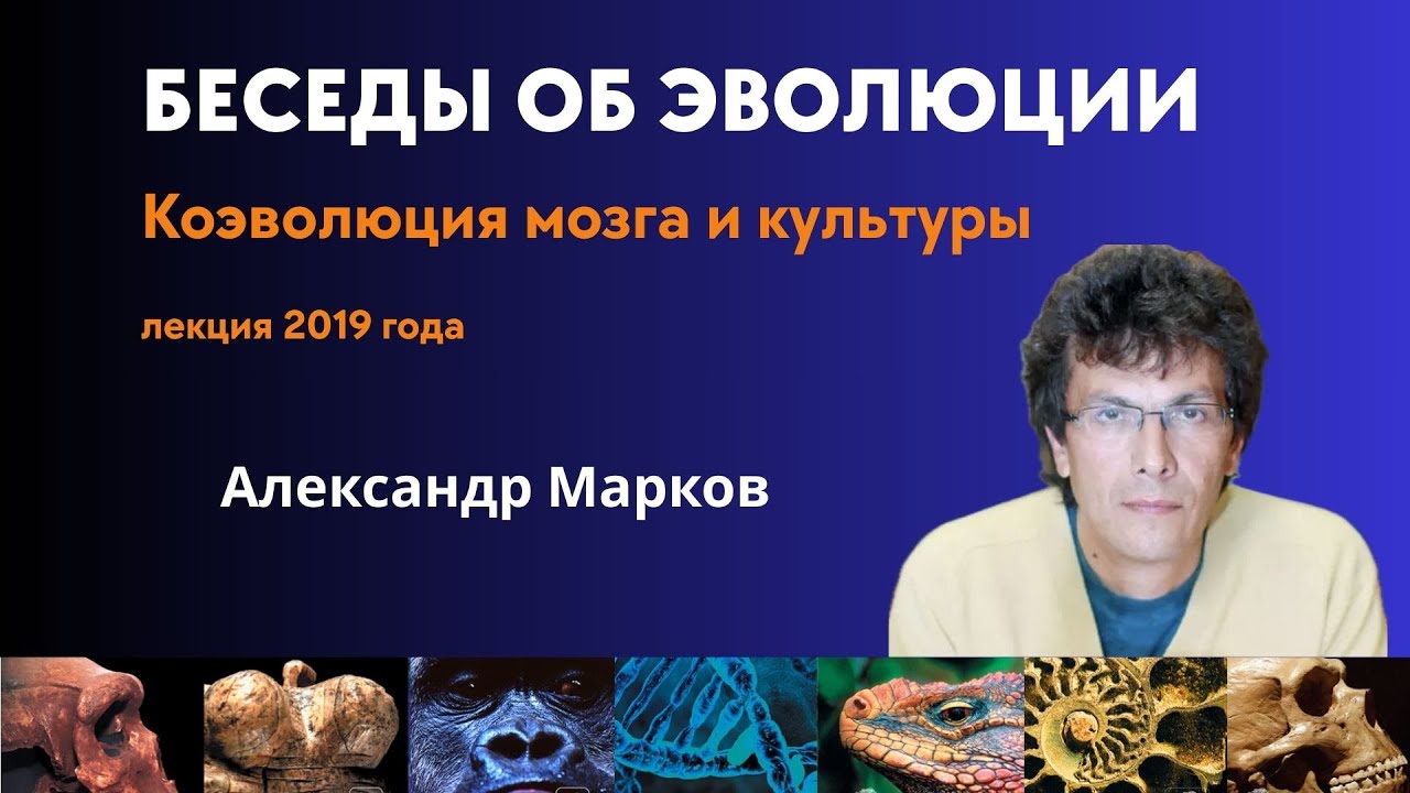 Коэволюция мозга и культуры