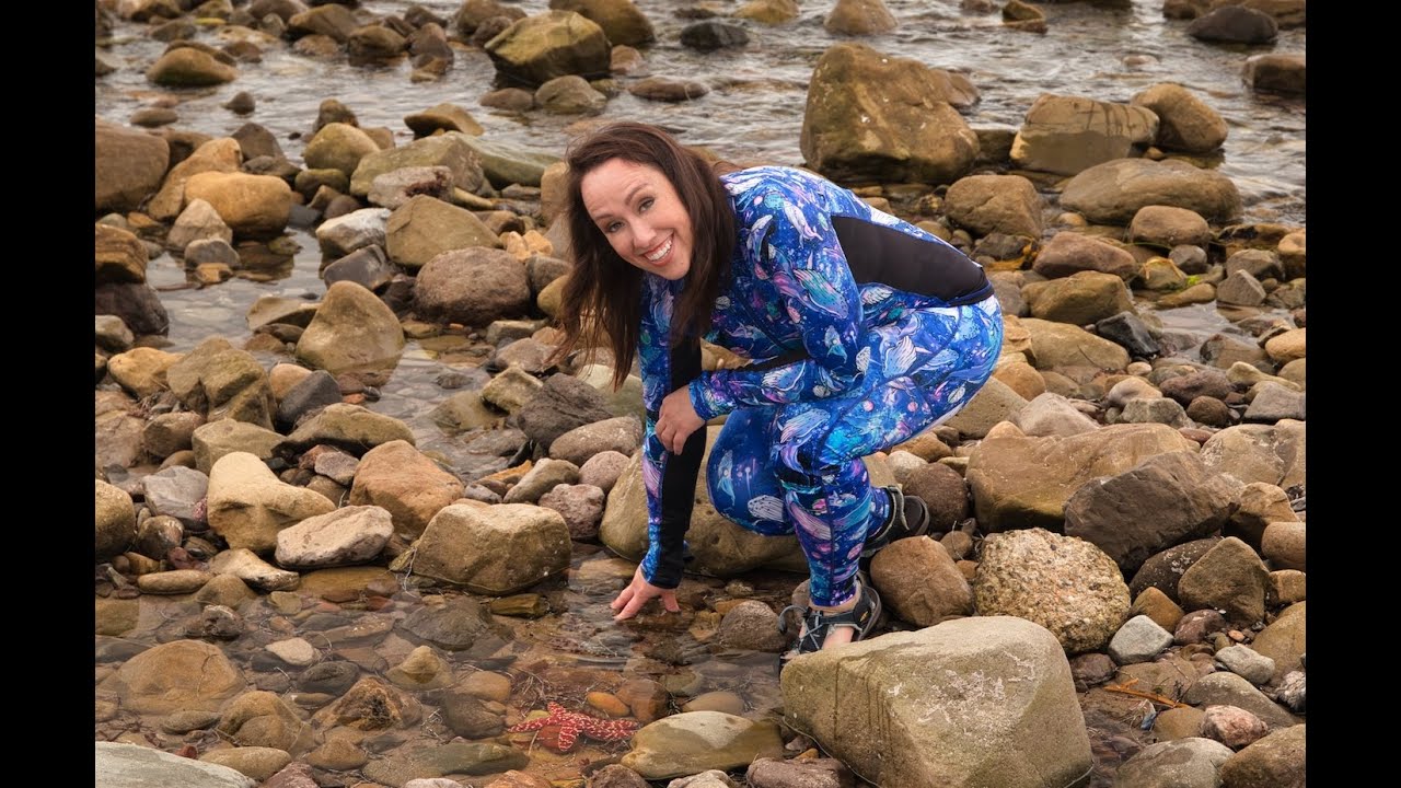 What causes the tides?