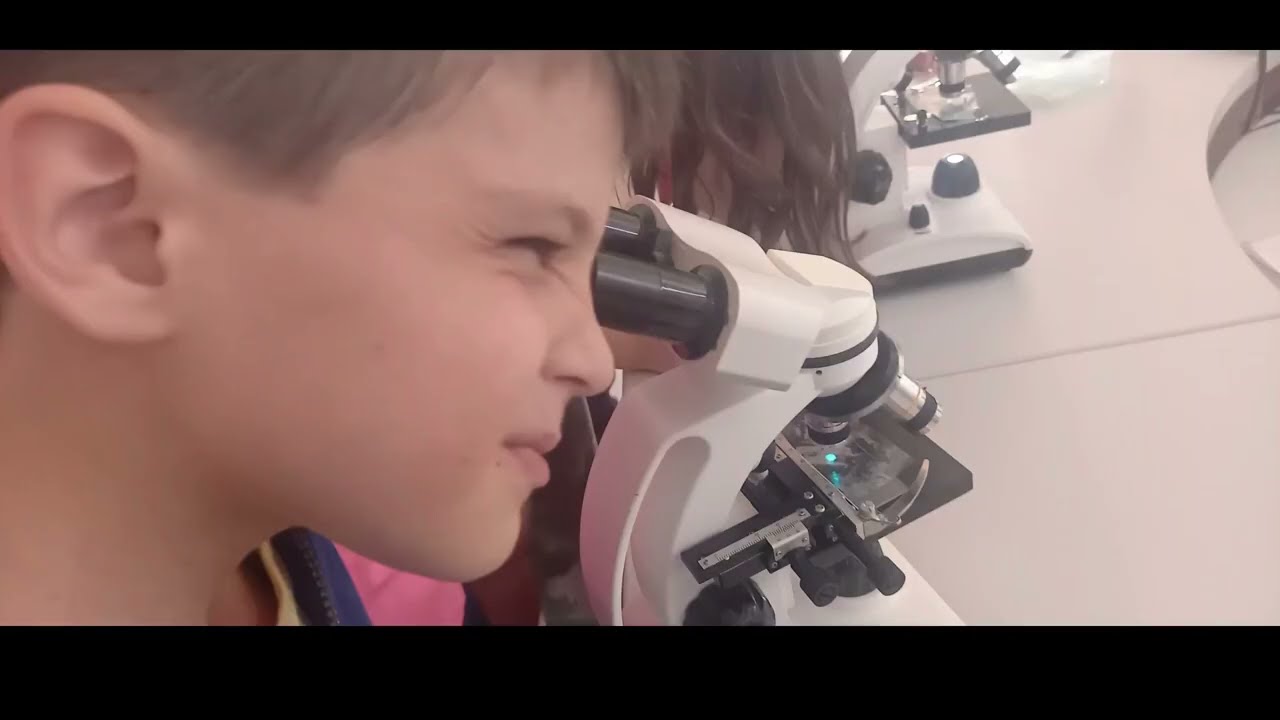 Magia y Ciencia - STEAM  “Aula del Futuro”