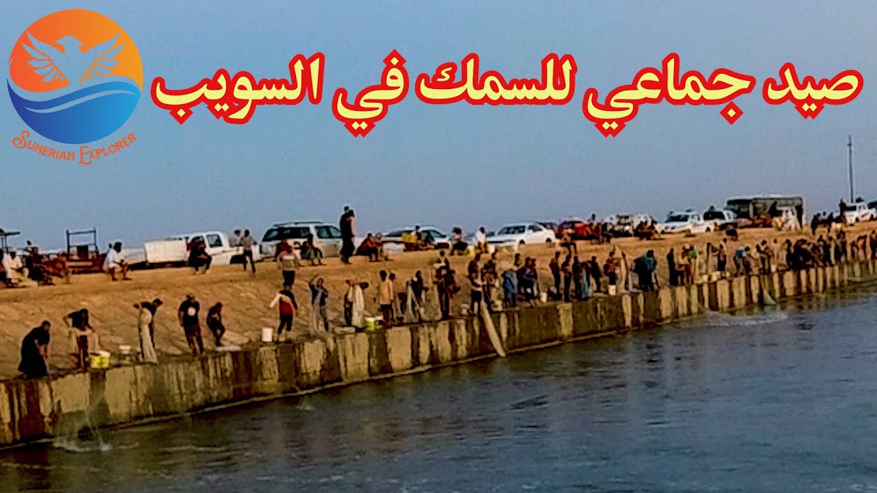 صيد السمك في السليه (جماعي) في قناة السويب