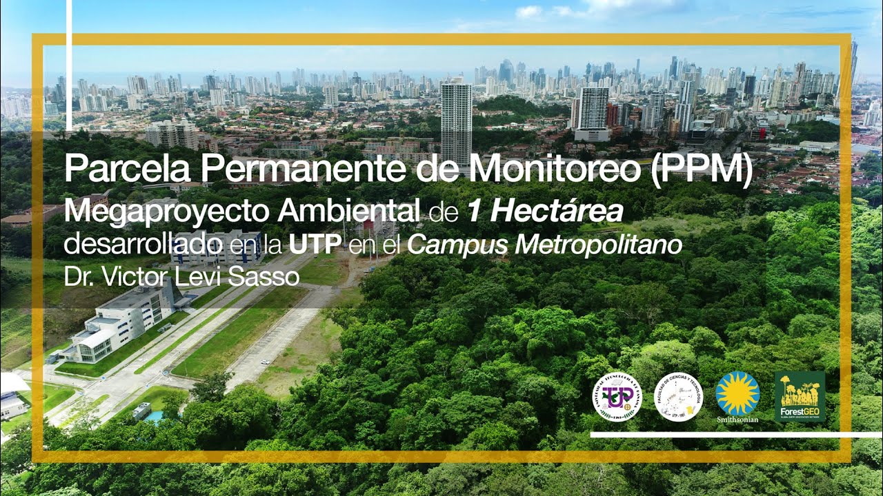 Minidocumental 