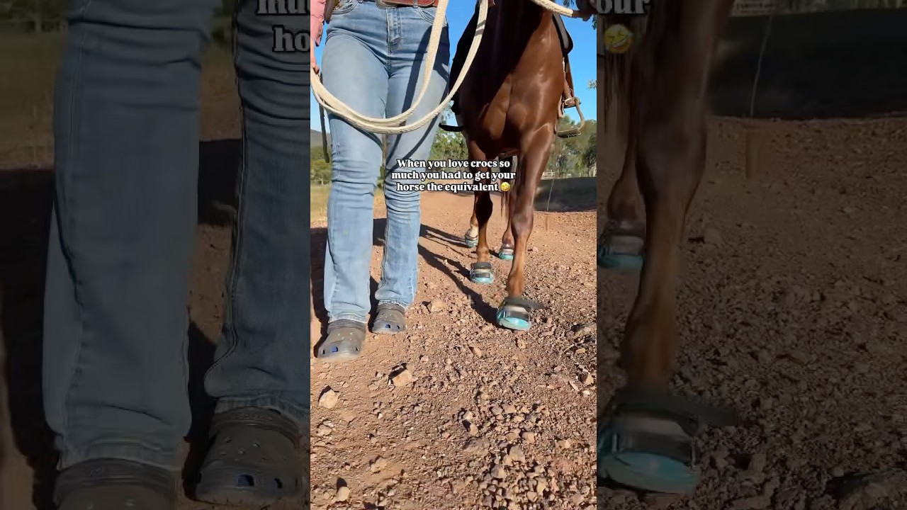 The universal, all-terrain Hoof Boot for your horse! #horseboot #horseriding #barefoothorse