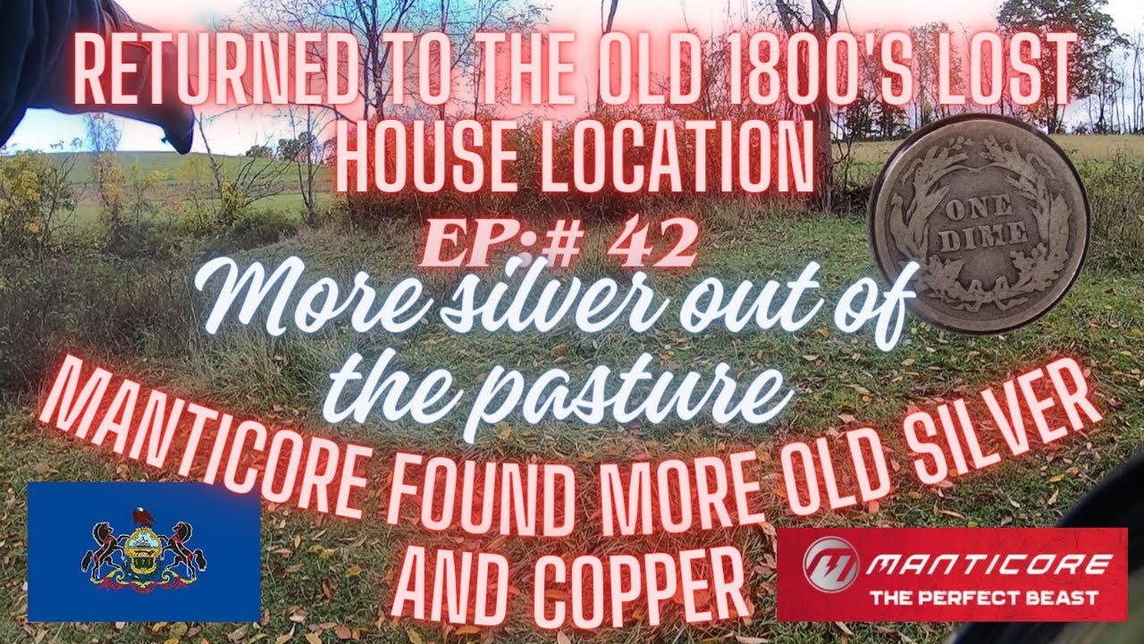 More Old Silver Pasture Field Site, Metal Detecting
