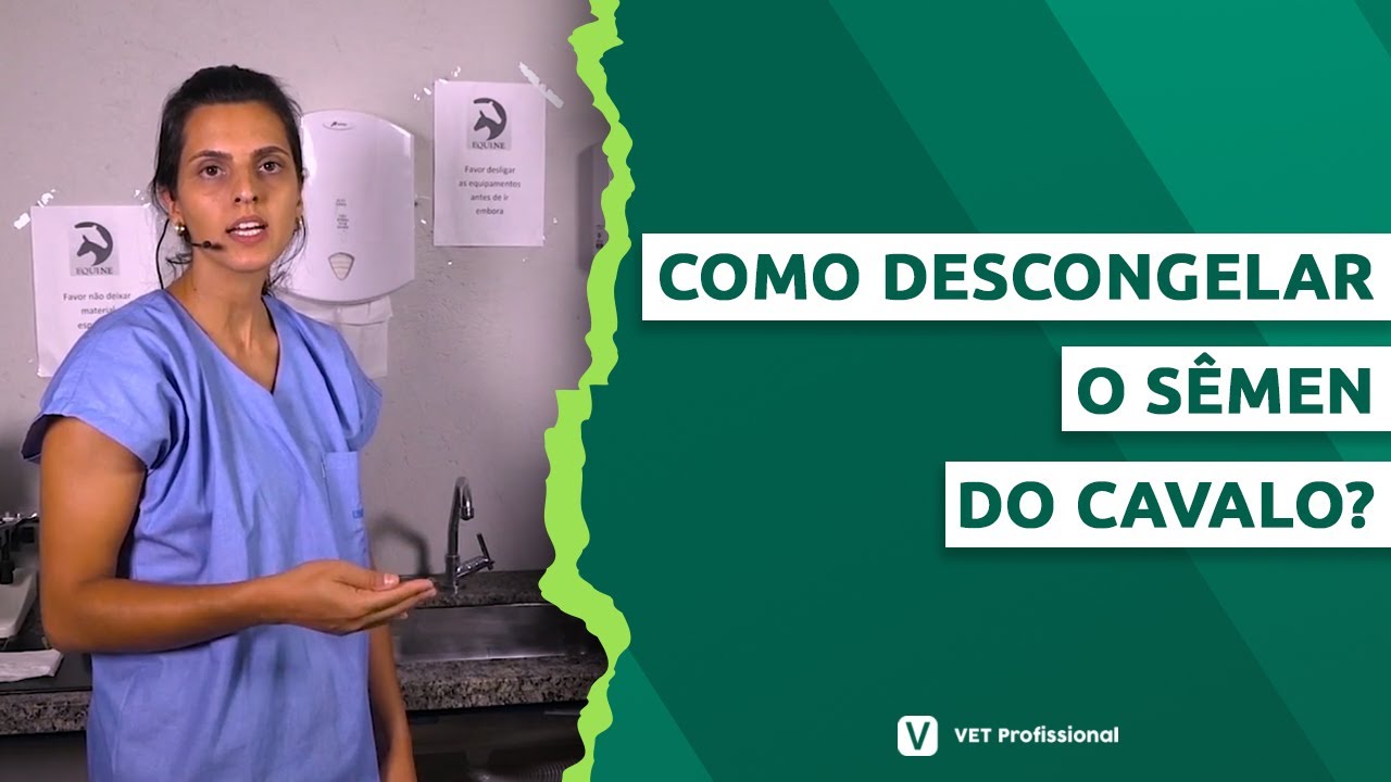 Descongelamento de sêmen equino para IA