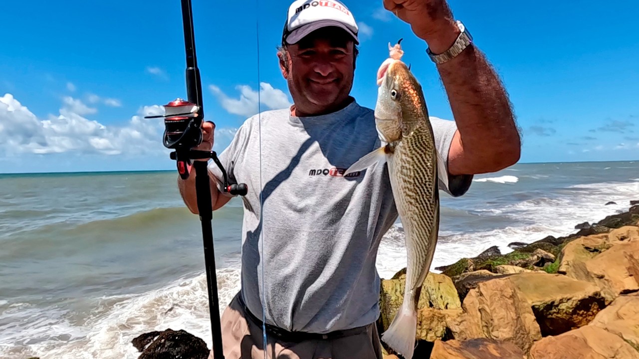 La ESCOLLERA reppleta de pescadores buscando sus capturas
