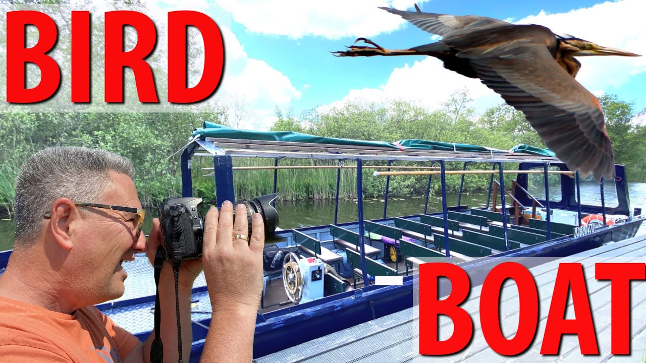 Amsterdam Nature Boat Tour