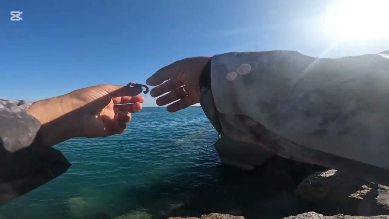 فرجة ممتعة مع 🎣