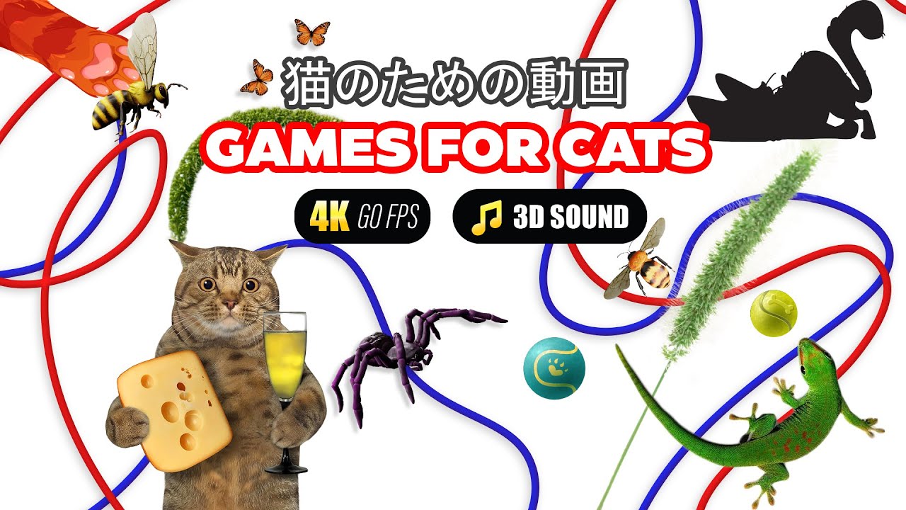 FELINE FUN | ULTIMATE CAT GAMES MARATHON | SPECIAL EDITION 10HOURS