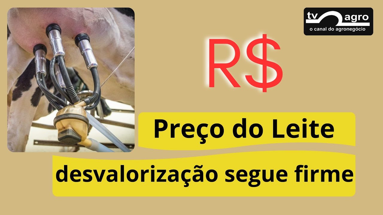 SETOR DE PRODUÇÃO DE LEITE SEGUE CRÍTICA