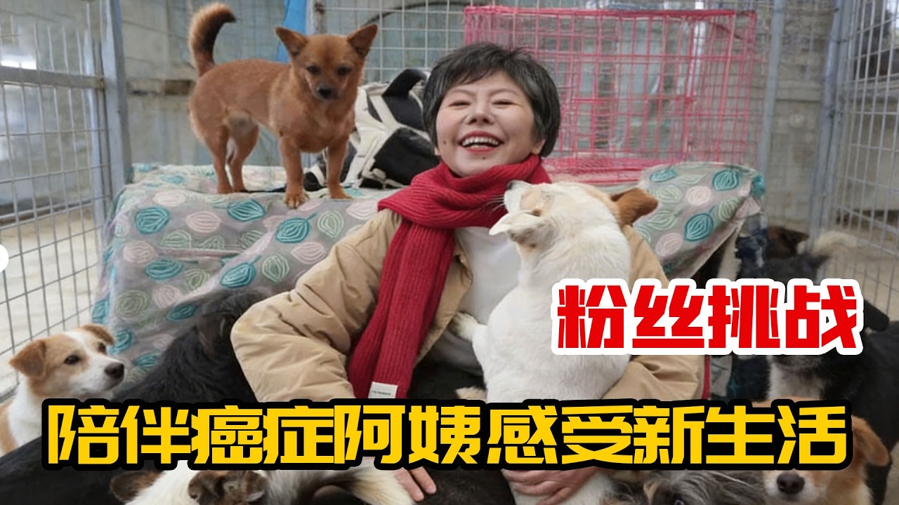 挑战圆梦癌症阿姨，暖心陪伴体验生活，遗愿清单下篇泪目来袭！