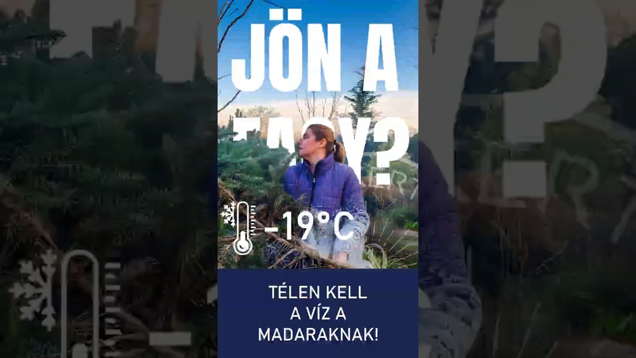Fenyő&aacute;gakb&oacute;l MELEG takar&oacute; a kertben #ritakertje