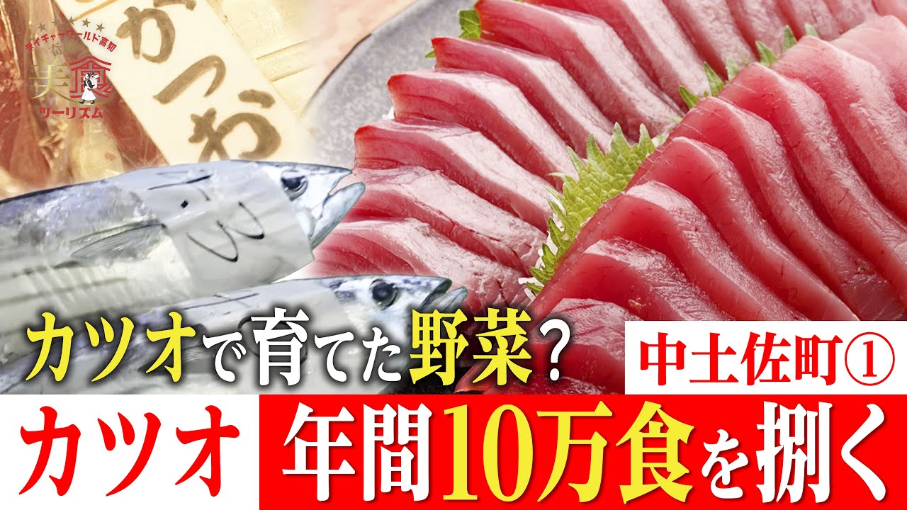 【カツオ愛🐟】年間10万食を捌く凄腕目利き！カツオで育てた野菜って？・中土佐町①｜奇跡の美食ツーリズム #高知 #高知グルメ #高知旅行