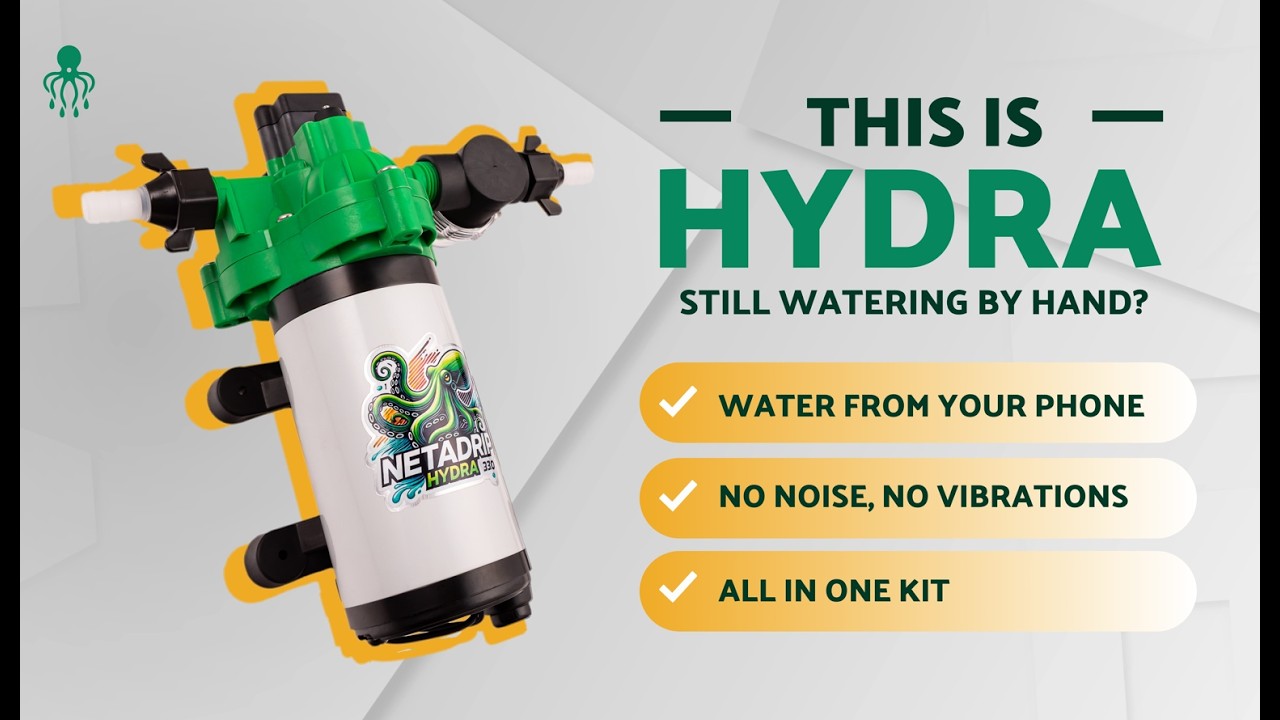 Forget hand-watering: Hydra, automatic irrigation made by growers, for growers.