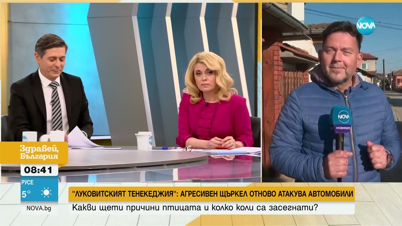 Кълве калници и сваля боята: Агресивен щъркел атакува коли в Луковит