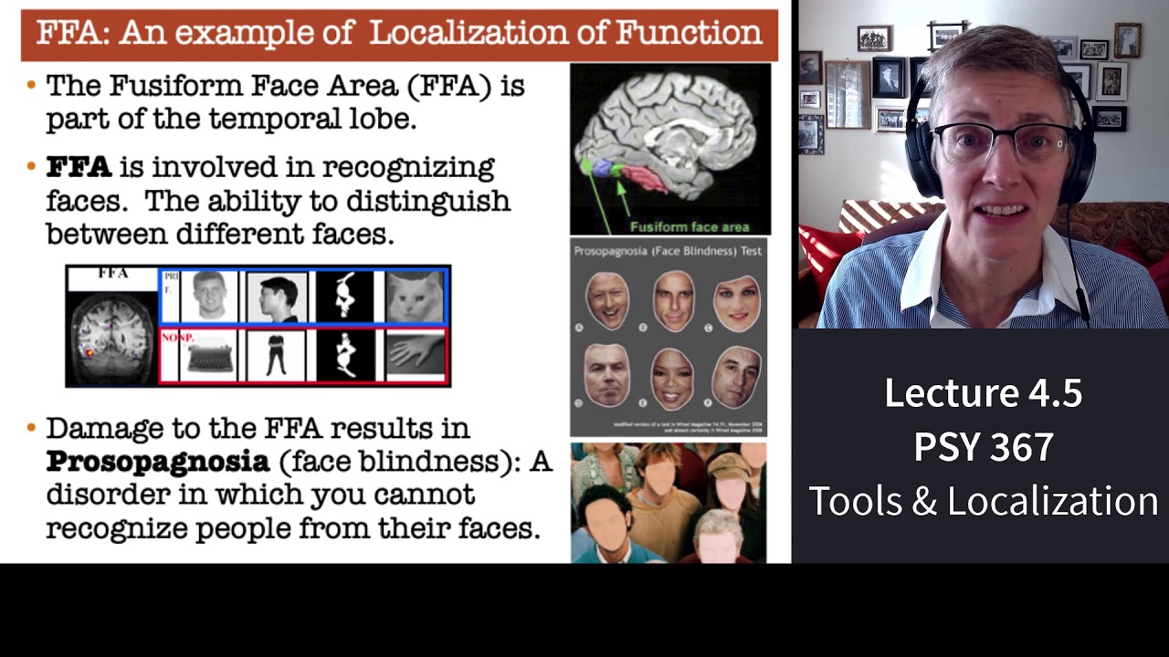 367 Lecture 4.5 Tools used to Locate Functions in Your Brain