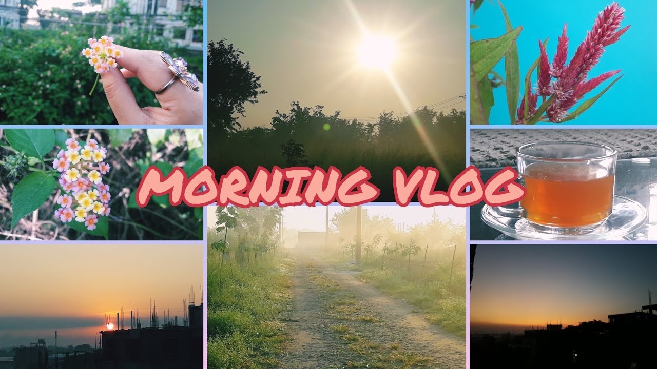 Morning Vlog🌸🌄 | Walking, breakfast, Tea☕️| Aesthetic Morning Vlog | Aesthetic Vlog (part 2)