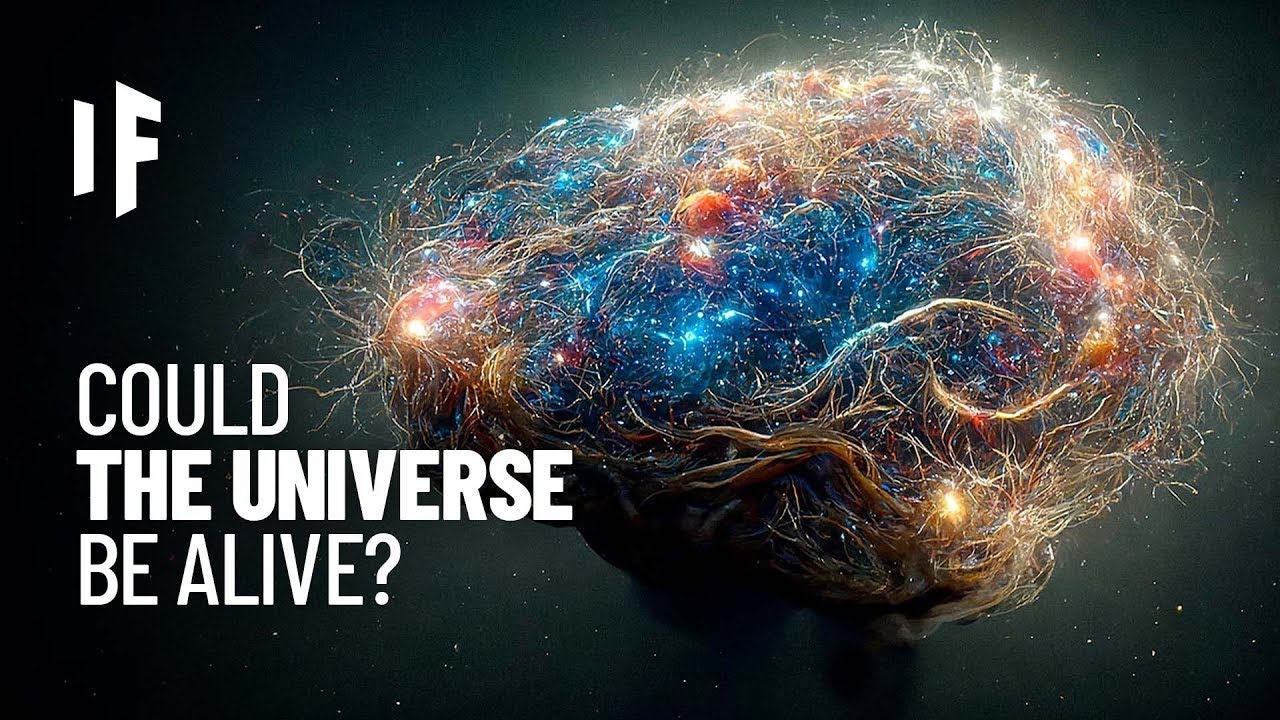 Et si l'Univers &eacute;tait conscient ?