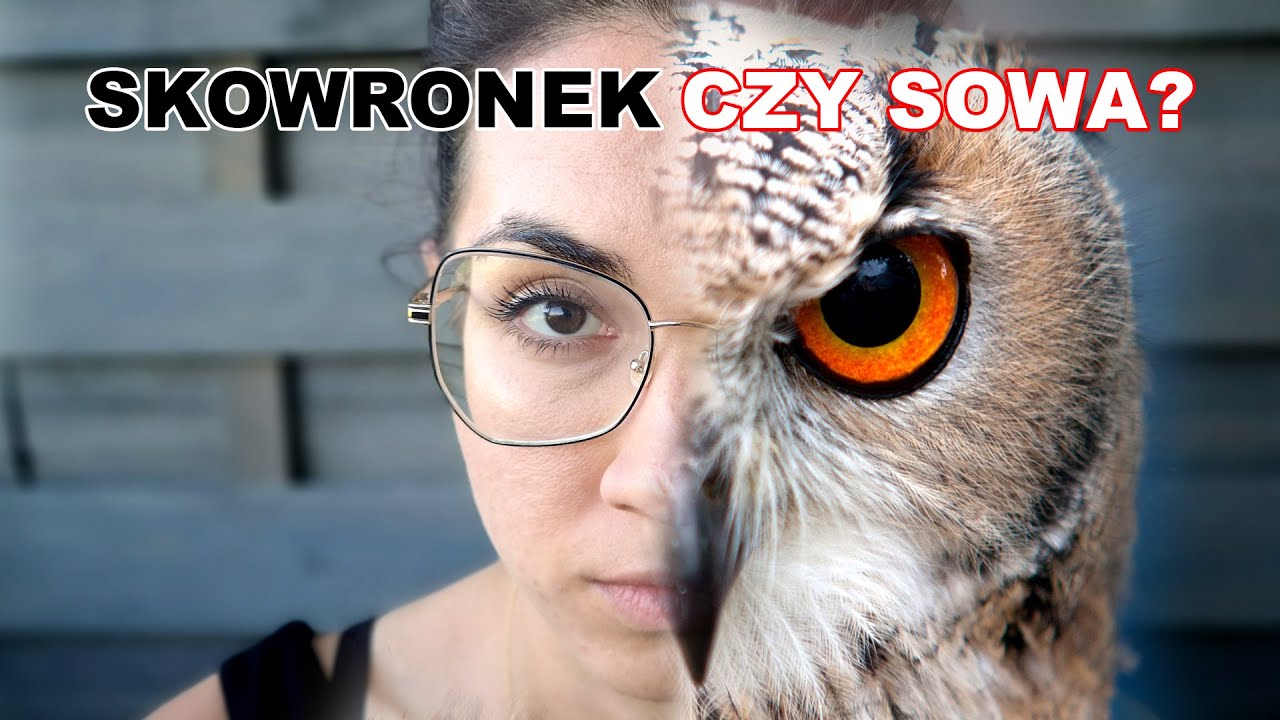 Śpisz jak SOWA czy SKOWRONEK? Znaczenie CYKLU DOBOWEGO ⏳