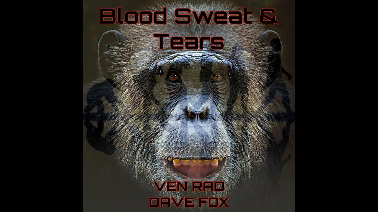 Blood Sweat and Tears FT. DFM