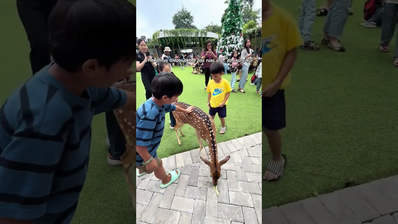 Liburan Seru di Habitat Park SCBD Jakarta Selatan