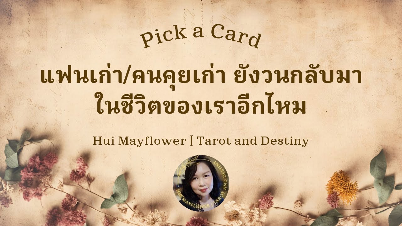 Pick a Card 🐶🧨แฟนเก่า/คนคุยเก่า ยังวนกลับมาในชีวิตของเราอีกไหม | Hui Mayflower