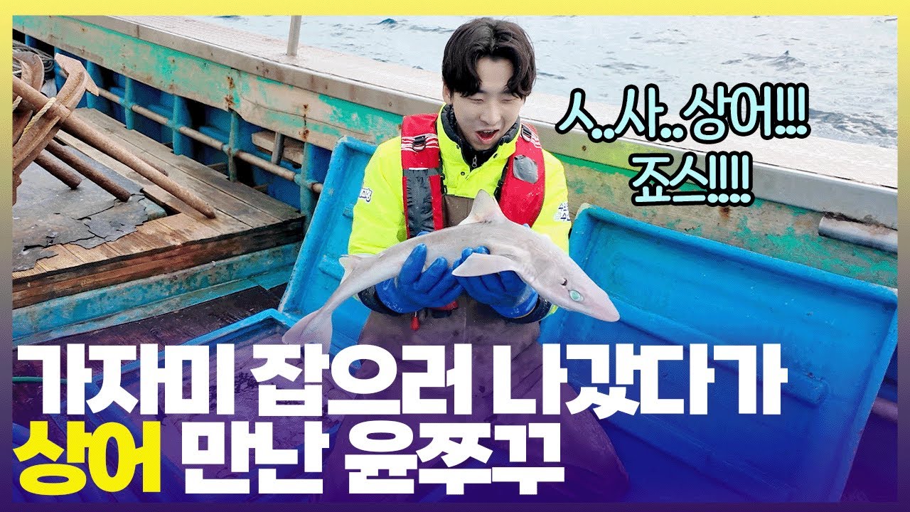 가자미 풍년인 울산 정자항에서 만난 뜻밖의 손님🦈  [6시 내고향] | KBS 250319 방송