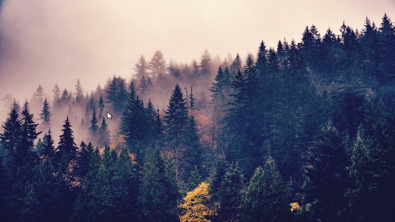Natural Sceneries - Mountain covered with Mist and Trees - 1 - Video Screen Saver
