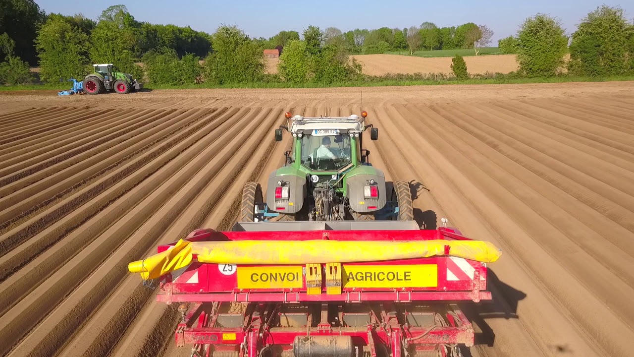 Triplé de Fendt à la plantation