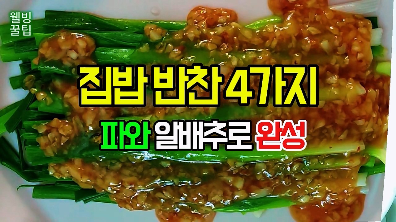 파요리와 여경래 셰프의 알배추 볶음으로 한 상｜집밥 반찬 4가지