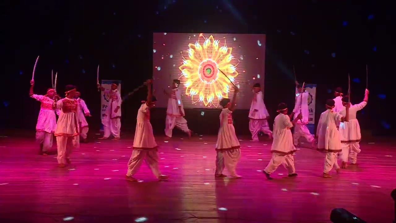 Pathak Public School Metoda - Talwar Ras, Mix Song