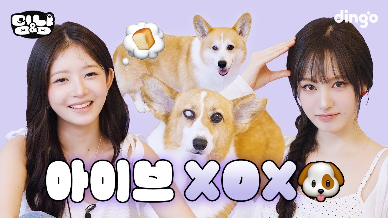 현실판 멍&냥이 나타났다!? 멍멍이 레이와 냥냥이 리즈의 코기 애정 쟁탈전  | [멍&냥] 아이브(IVE) 레이, 리즈