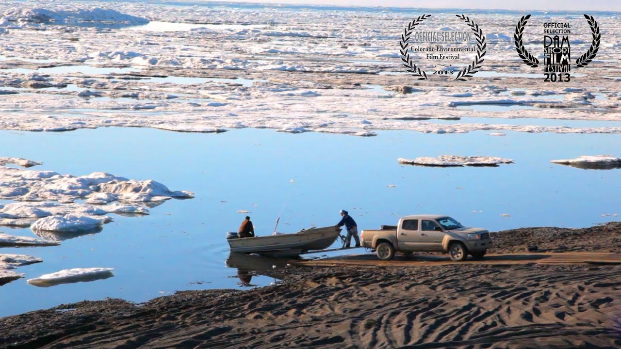 Oil and Ice: The Risks of Drilling in Alaska's Arctic Ocean