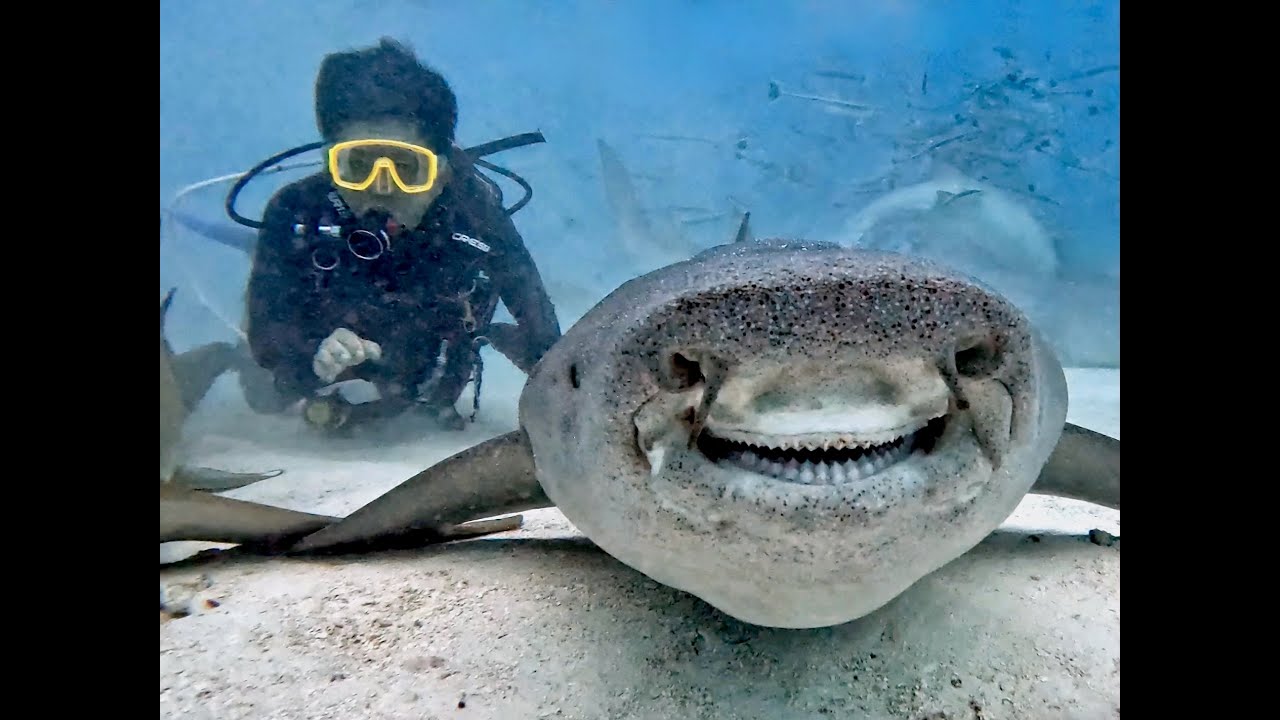 Maldives 2024