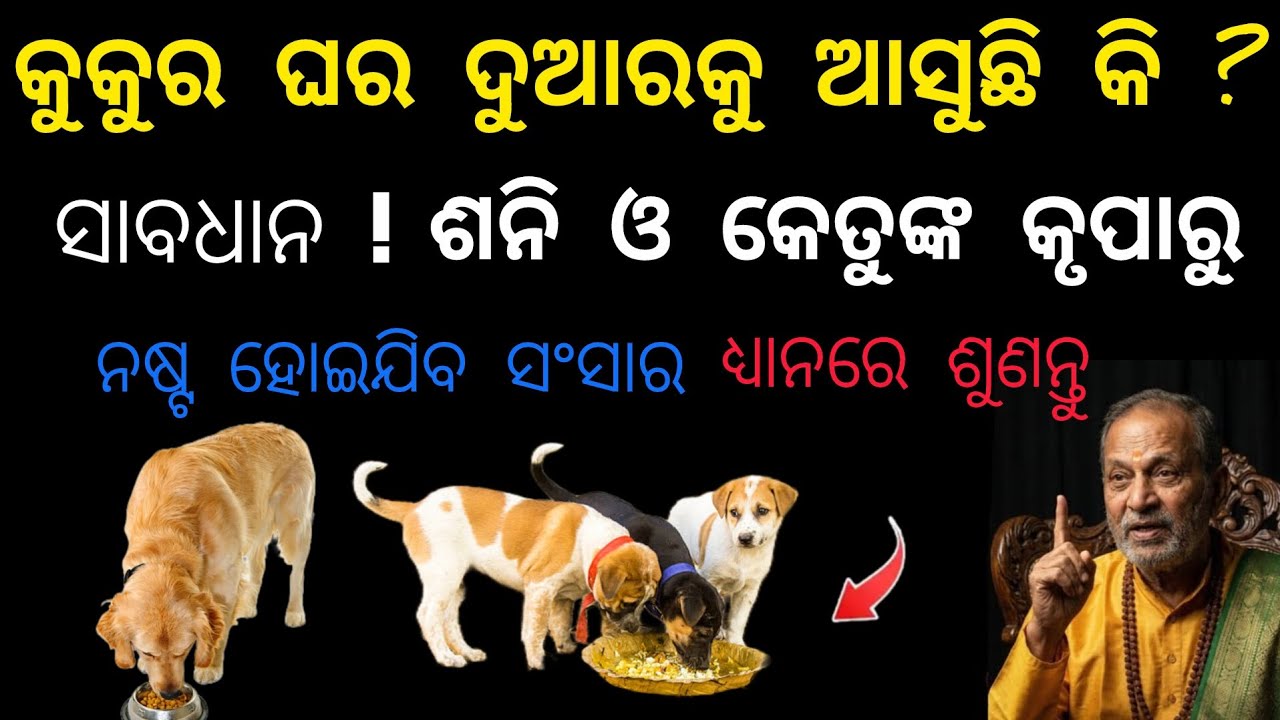 କୁକୁର ଘରକୁ ଦୁଆରକୁ ଆସୁଛି କି ? ସାବଧାନ ! ଶନି ଓ କେତୁଙ୍କ କୋପରୁ ନଷ୍ଟ ହୋଇଯିବ ସଂସାର# trending#odia#bhakti 
