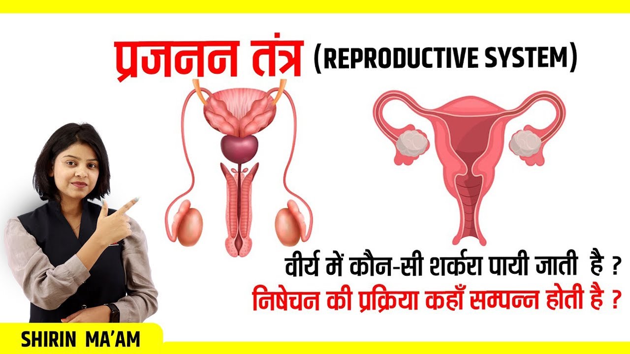 प्रजनन तंत्र (Reproductive System) SCIENCE CLASS For All Competitive Exam By Shirin Ma'am