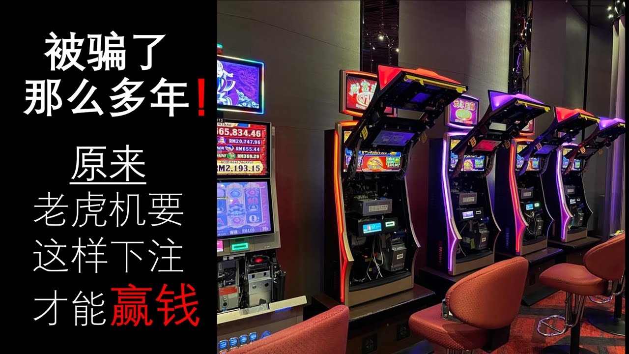 赶紧学！老虎机要这样下注才能赢钱