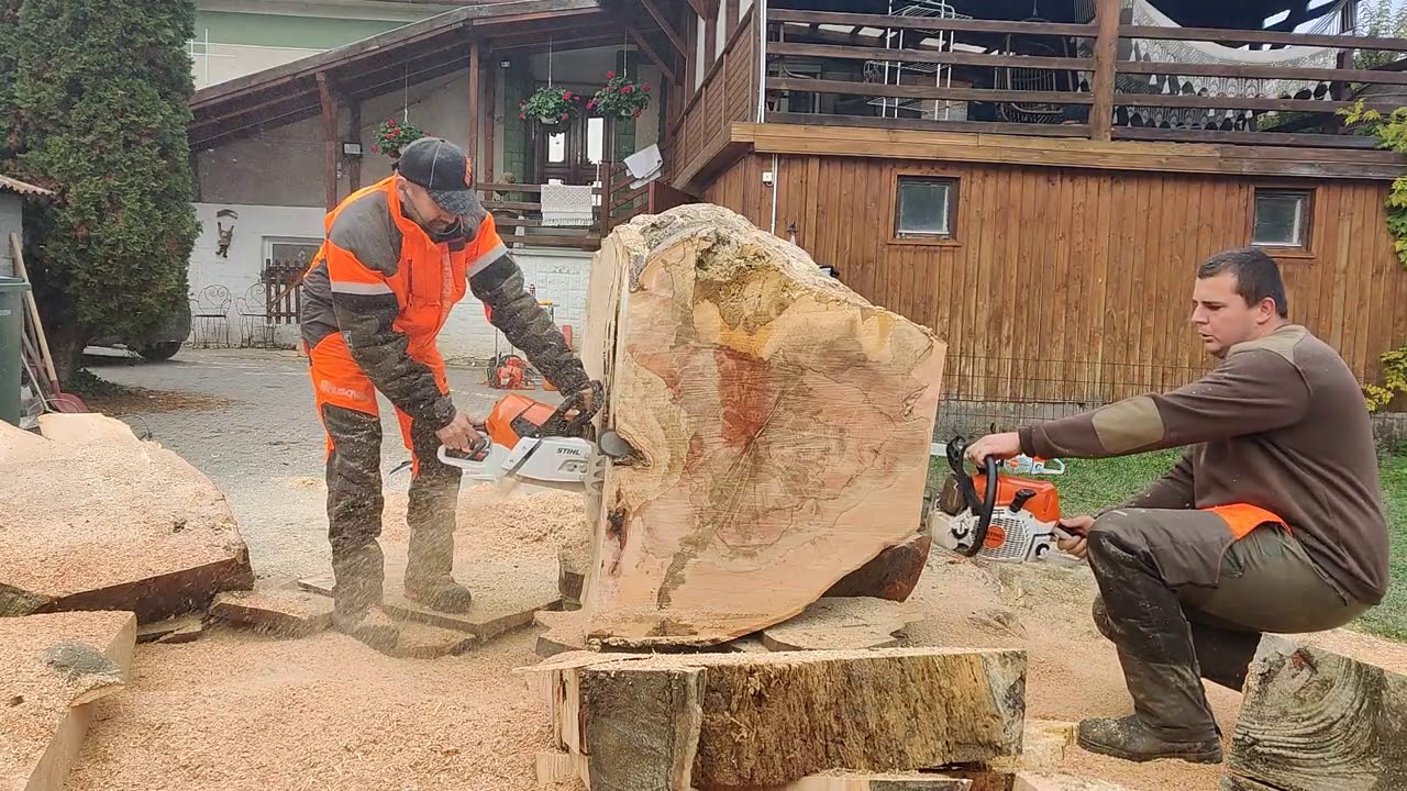 Stihl MS 661 vs. Stihl MS 462 C-M.