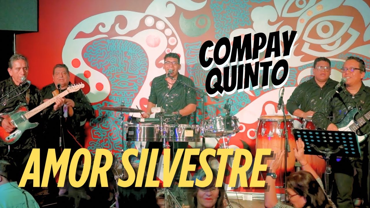 Amor Silvestre &ndash; Compay Quinto | Guaracha #compayquinto 