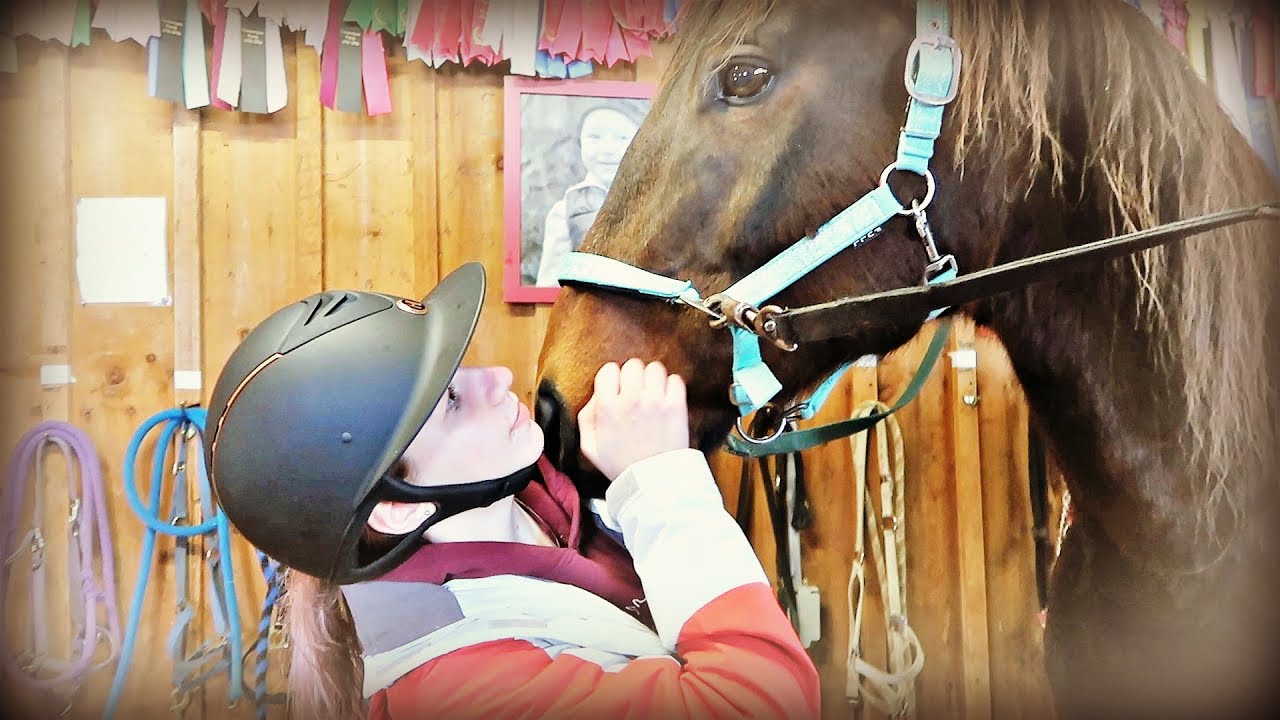 HER CHAMPION HORSE REVEAL AND HORSE SHOPPING WITH BRANDAN!  Day 008 (01/08/20)