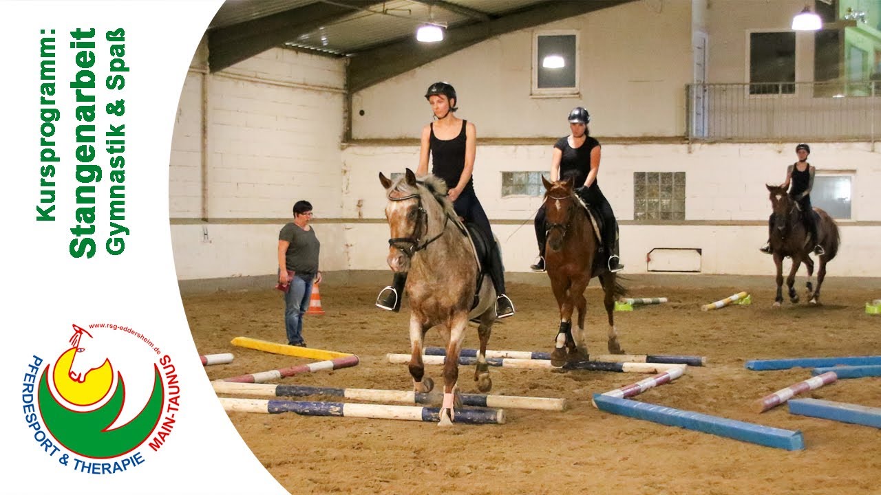 Reiten lernen: Stangenarbeit mit Pferden - Lehrgang mit Anette Jung, Juni 2020 | Reitunterricht