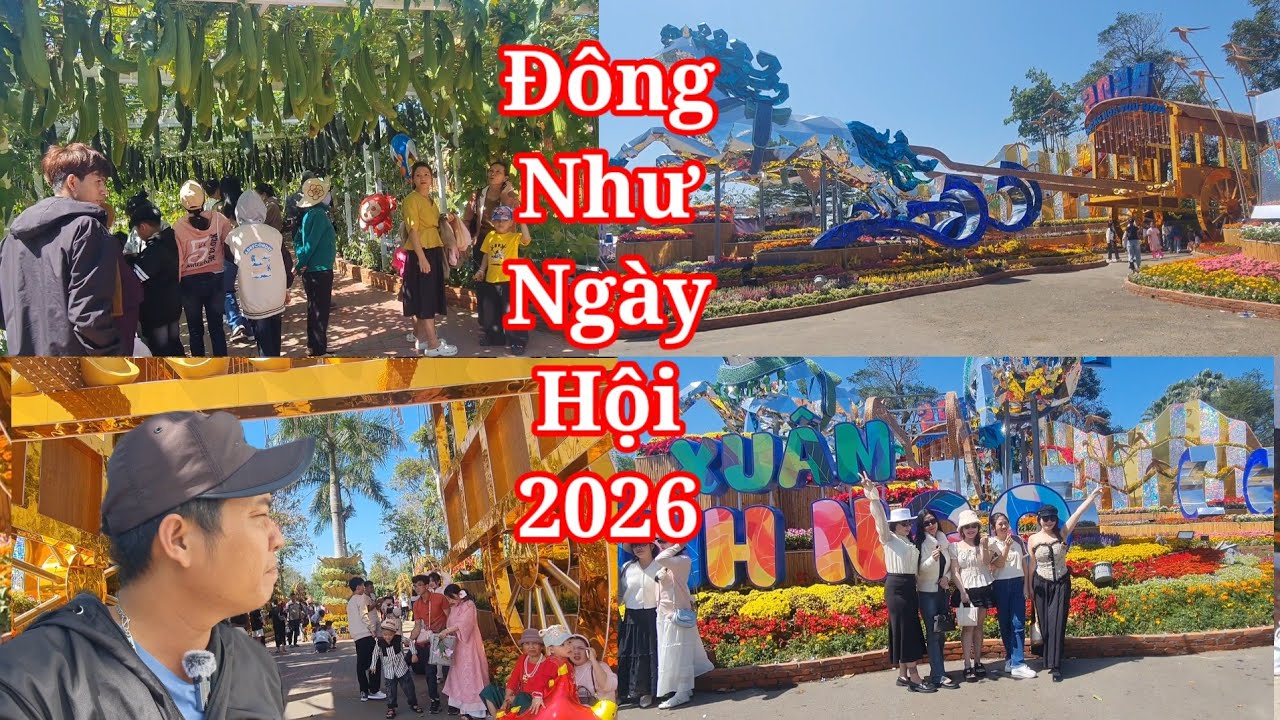 Không khí tết nguyên đán 2026 ở công viên Tuy Hòa Phú Yên rộn ràng tiếng cười