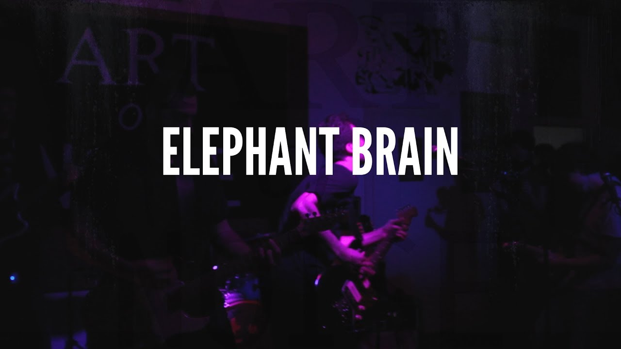Elephant Brain live @Art of Noise 2/12/2017