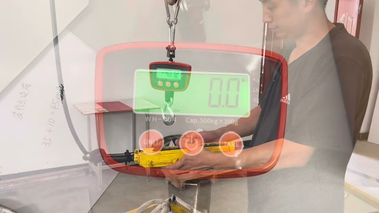 Calibration WH-C04 500kg 300kg WeiHeng Crane Hanging Scale Digital