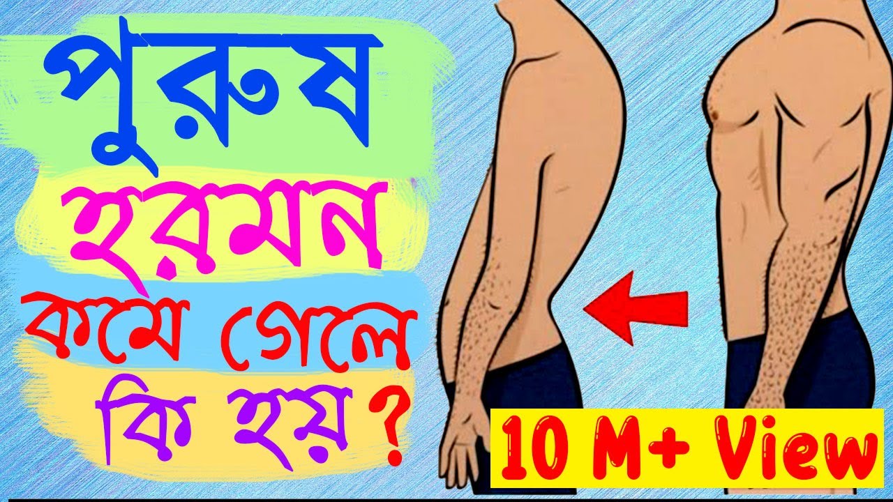 টেস্টোস্টেরন হরমন কি? কমে গেলে কি হয়? কিভাবে এটি বাড়ানো যায়?