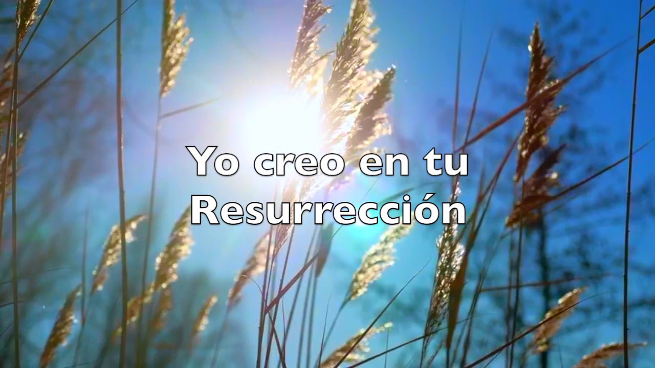 ¡Yo creo en tu Resurrección!..