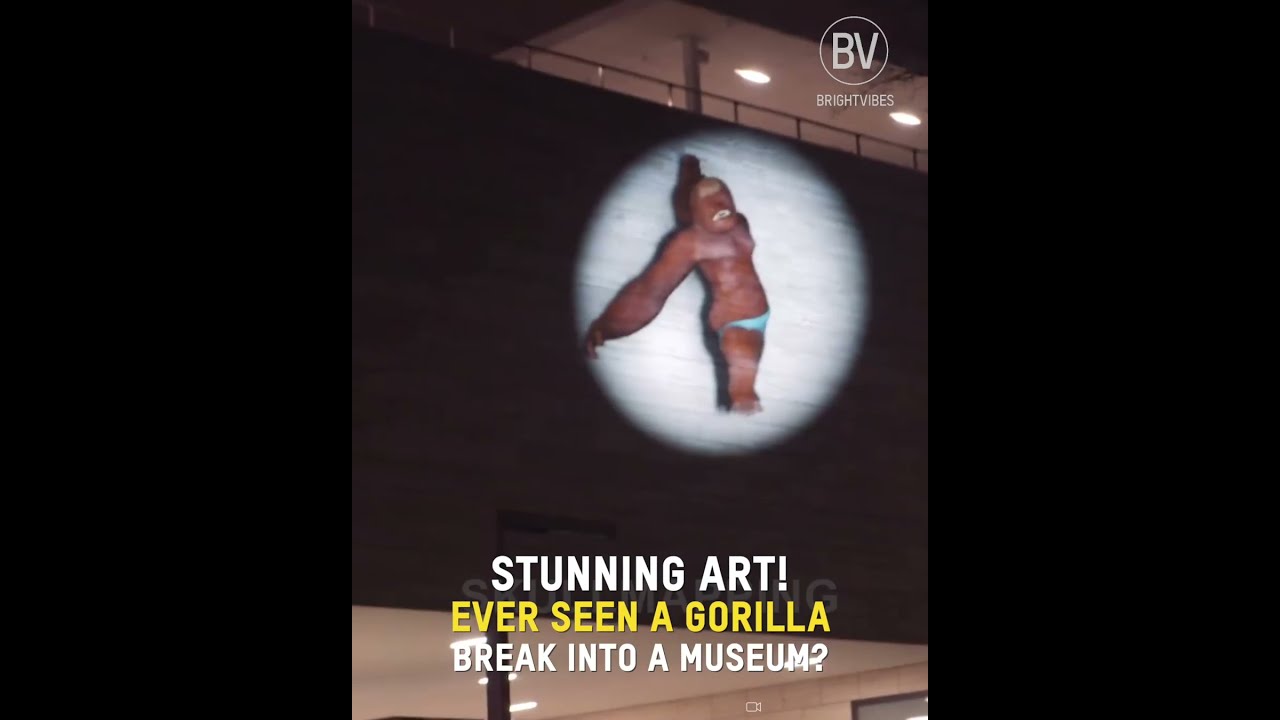 Brilliant real life animation 💯  Watch what happens when a gorilla 🦍  breaks into a museum 😲