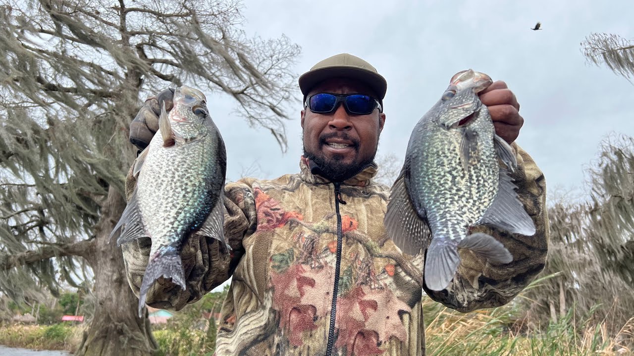 Crappie on Lake Jesup