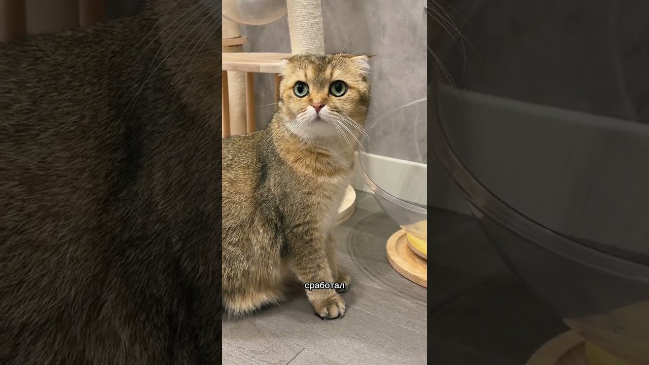 Неприятная ситуация