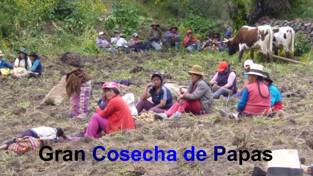 CONCHUCOS